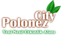 PolonezcCty